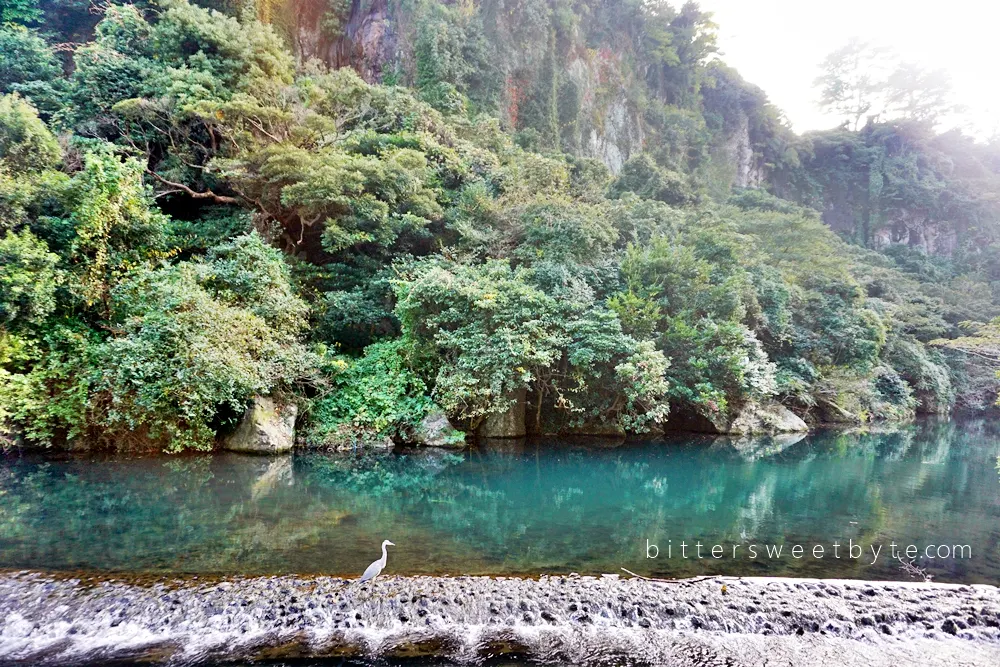 Cheonjiyeon waterfall jeju island 28