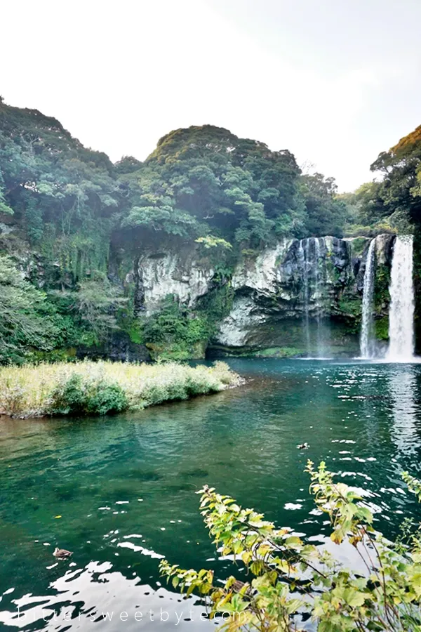 cheonjiyeon waterfall jeju island 16