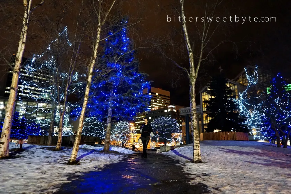 Living Alaska: Ice Sculptures in Anchorage 2016