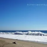 Sightseeing and Attraction in Los Angeles for Budget Traveler