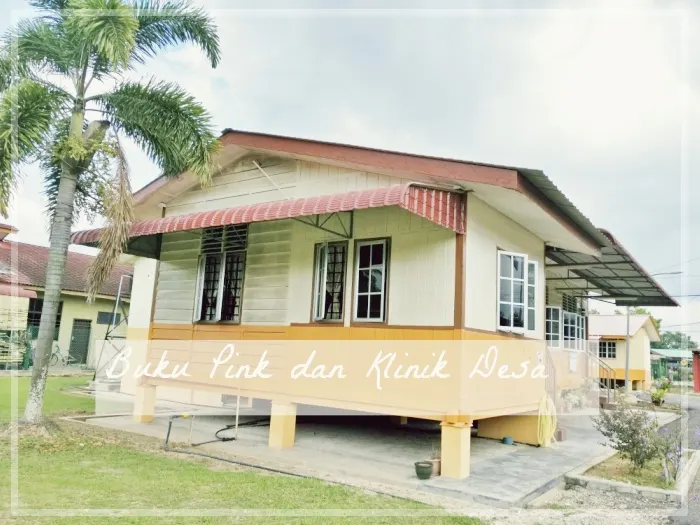Buku Pink dan Klinik Desa.