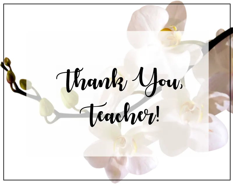Thank you Teacher