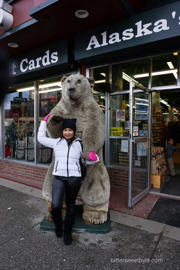 bear in anchorage alaska