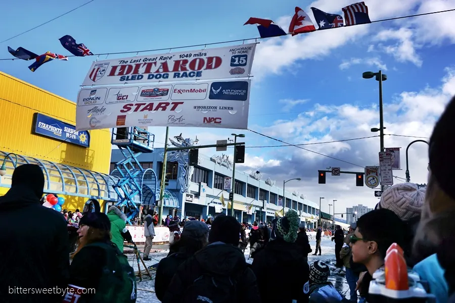 iditarod 2015 2