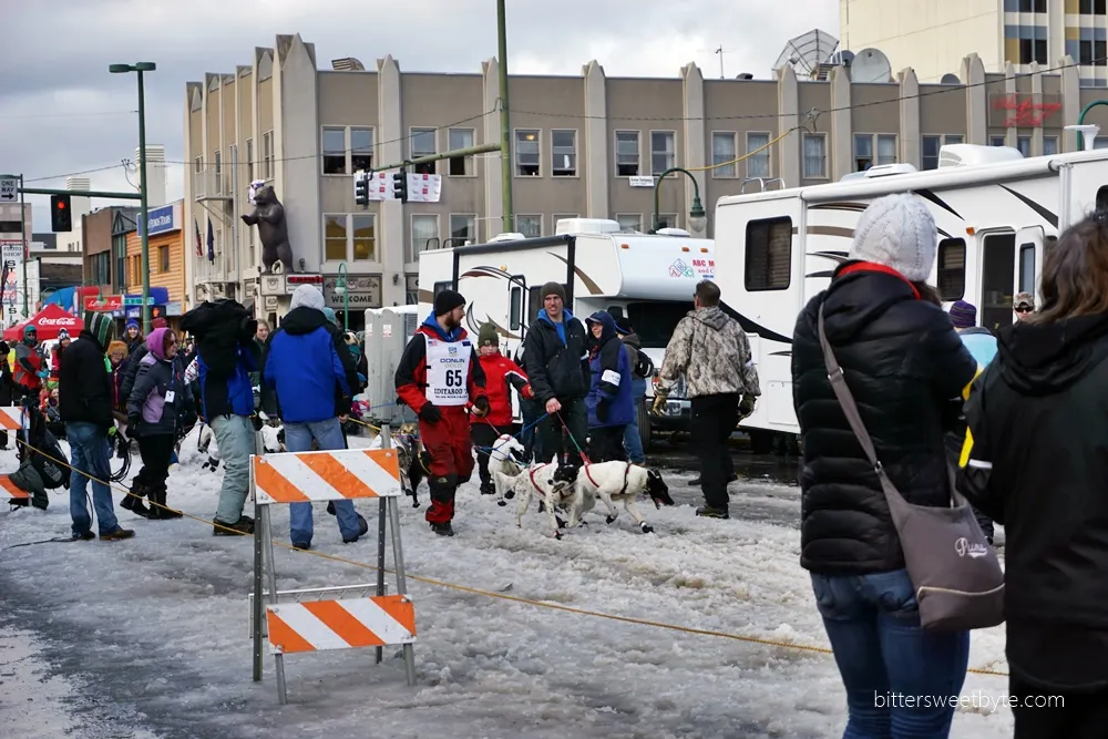 iditarod 2015 6