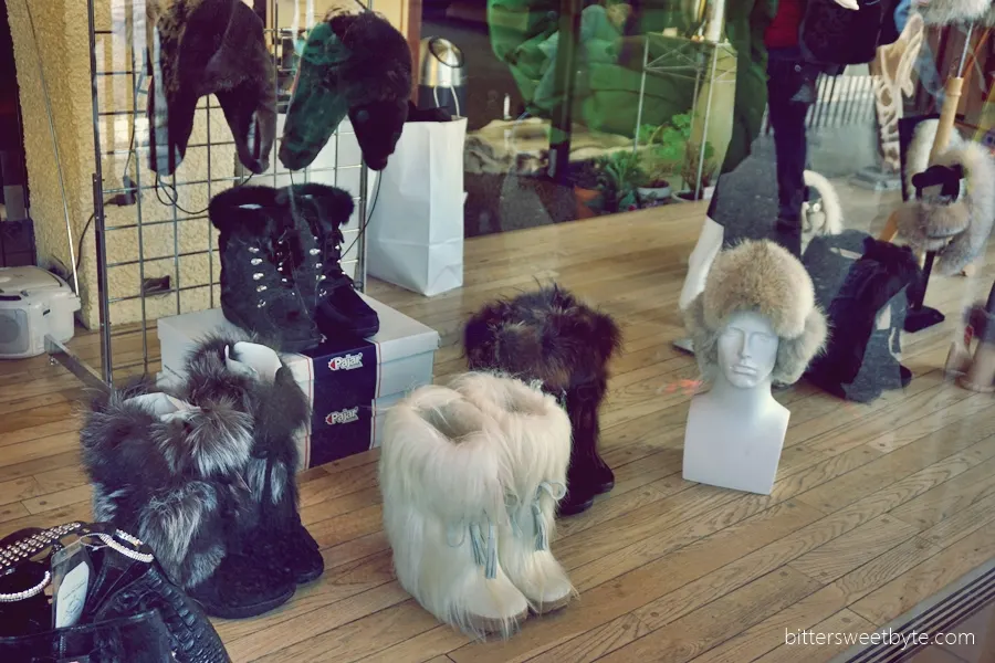 iditarod 2015